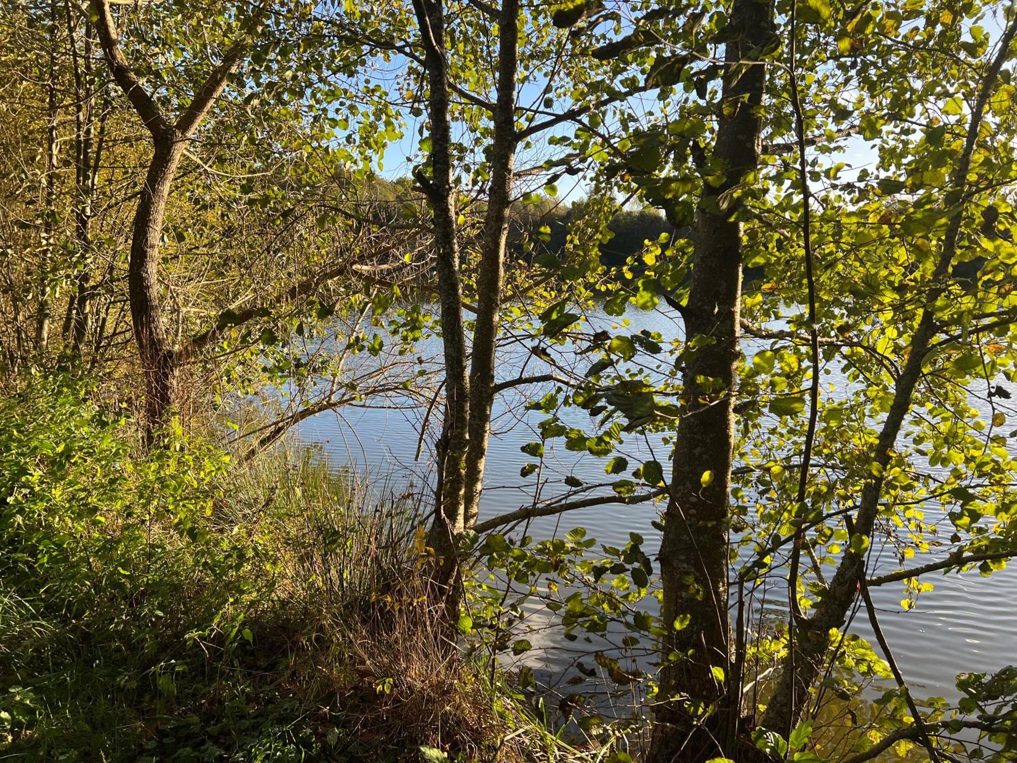 Aux Songes D'elise Privatunterkunft Belmont (Haute-Saone)