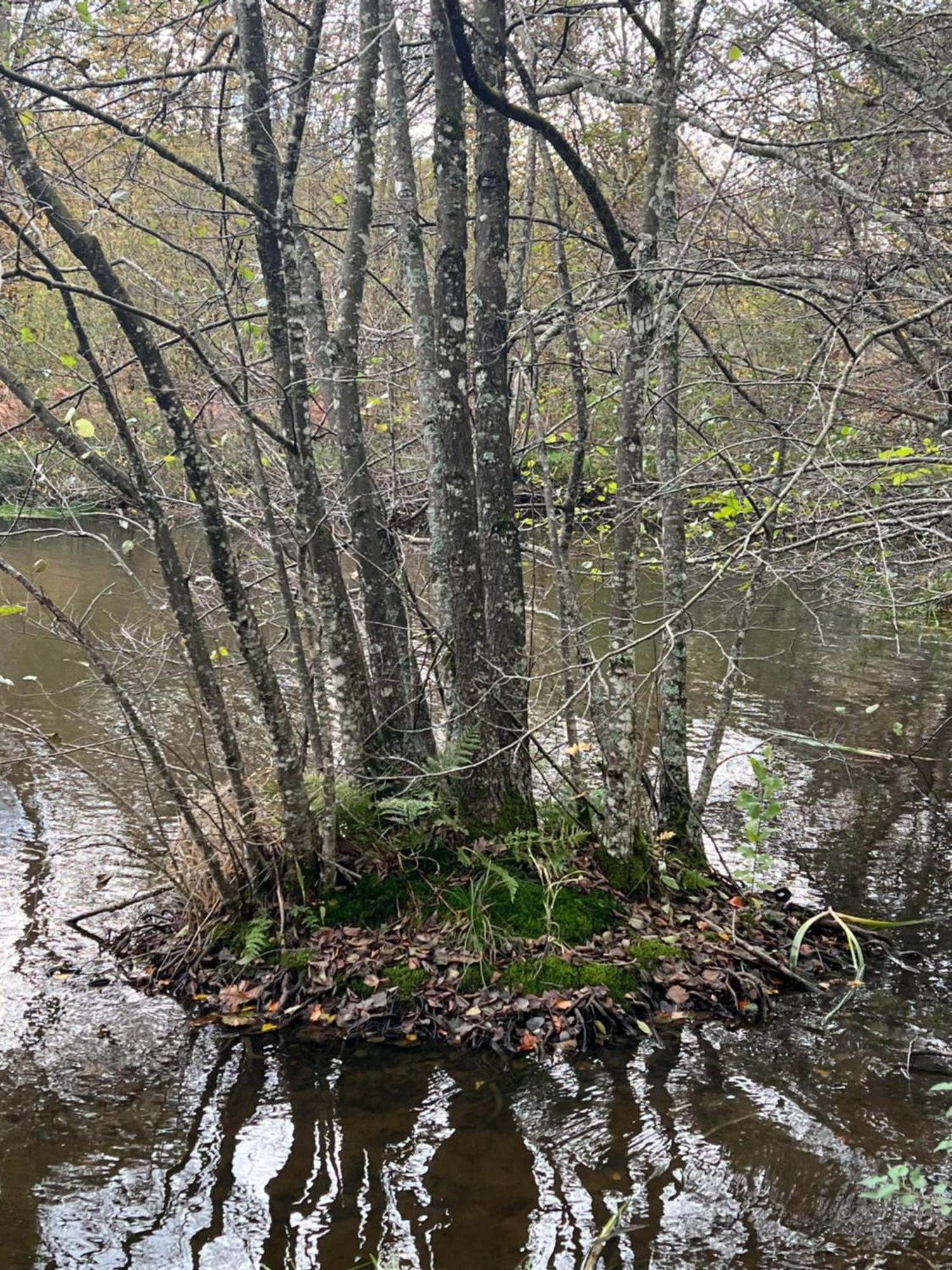 Aux Songes D'elise Privatunterkunft Belmont (Haute-Saone)