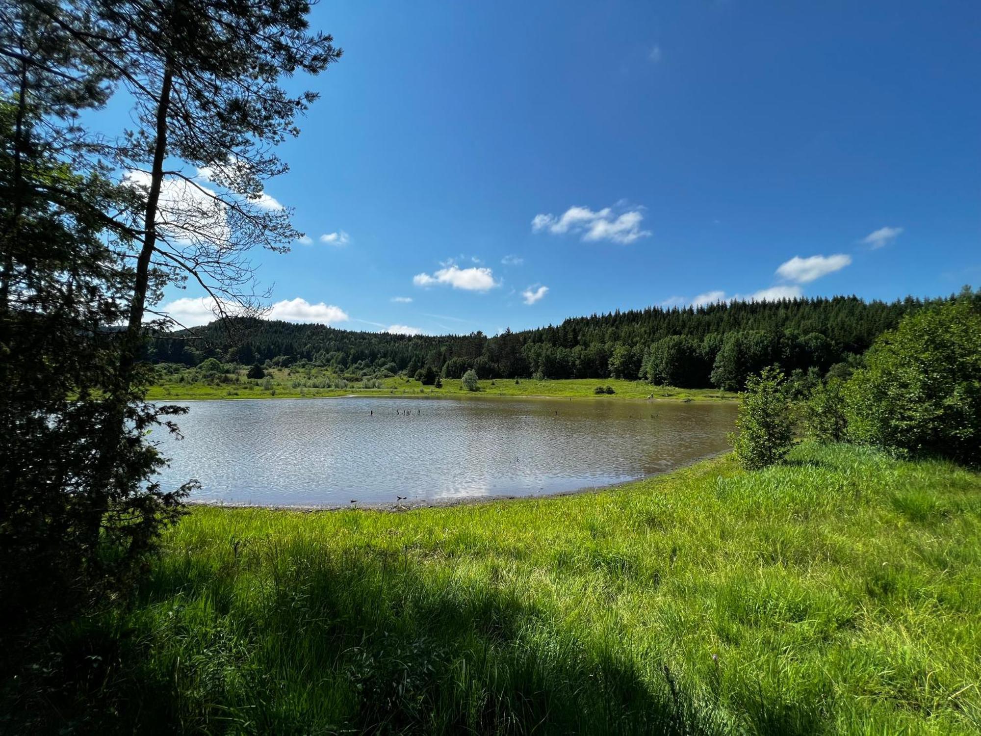 Aux Songes D'elise Privatunterkunft Belmont (Haute-Saone)