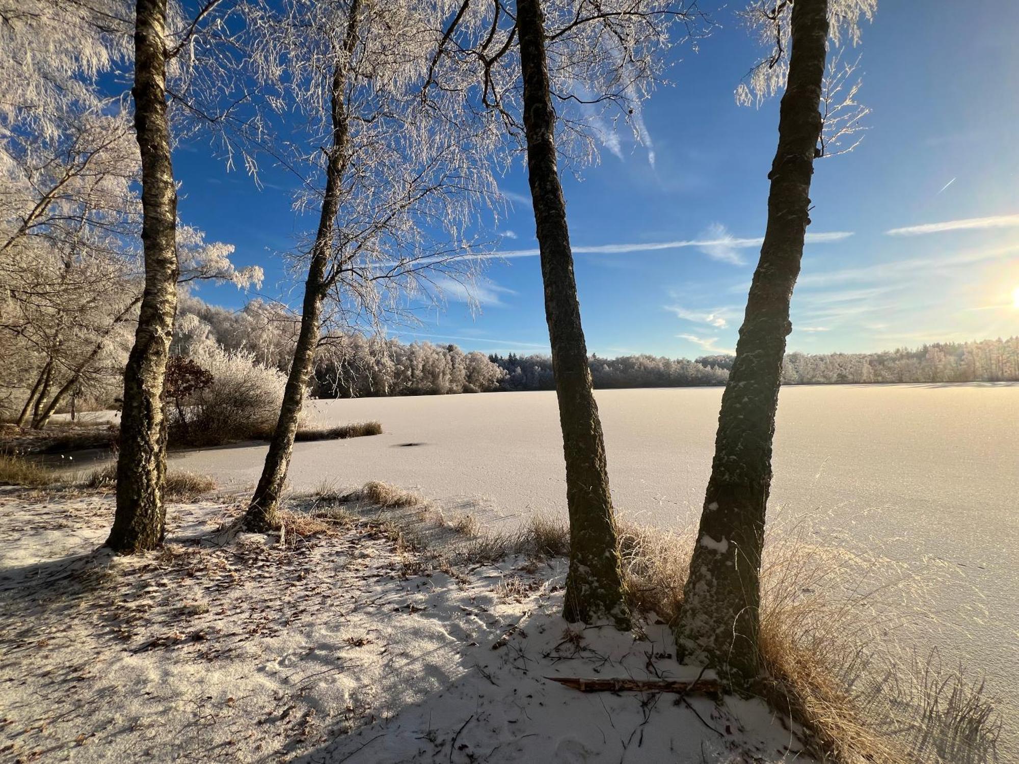 Aux Songes D'elise * Belmont (Haute-Saone)