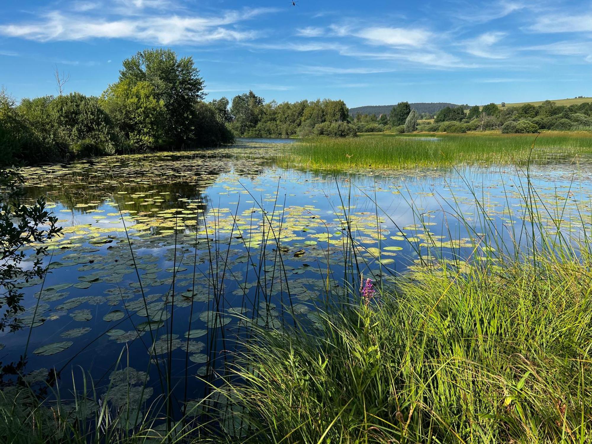 Aux Songes D'elise Belmont (Haute-Saone)