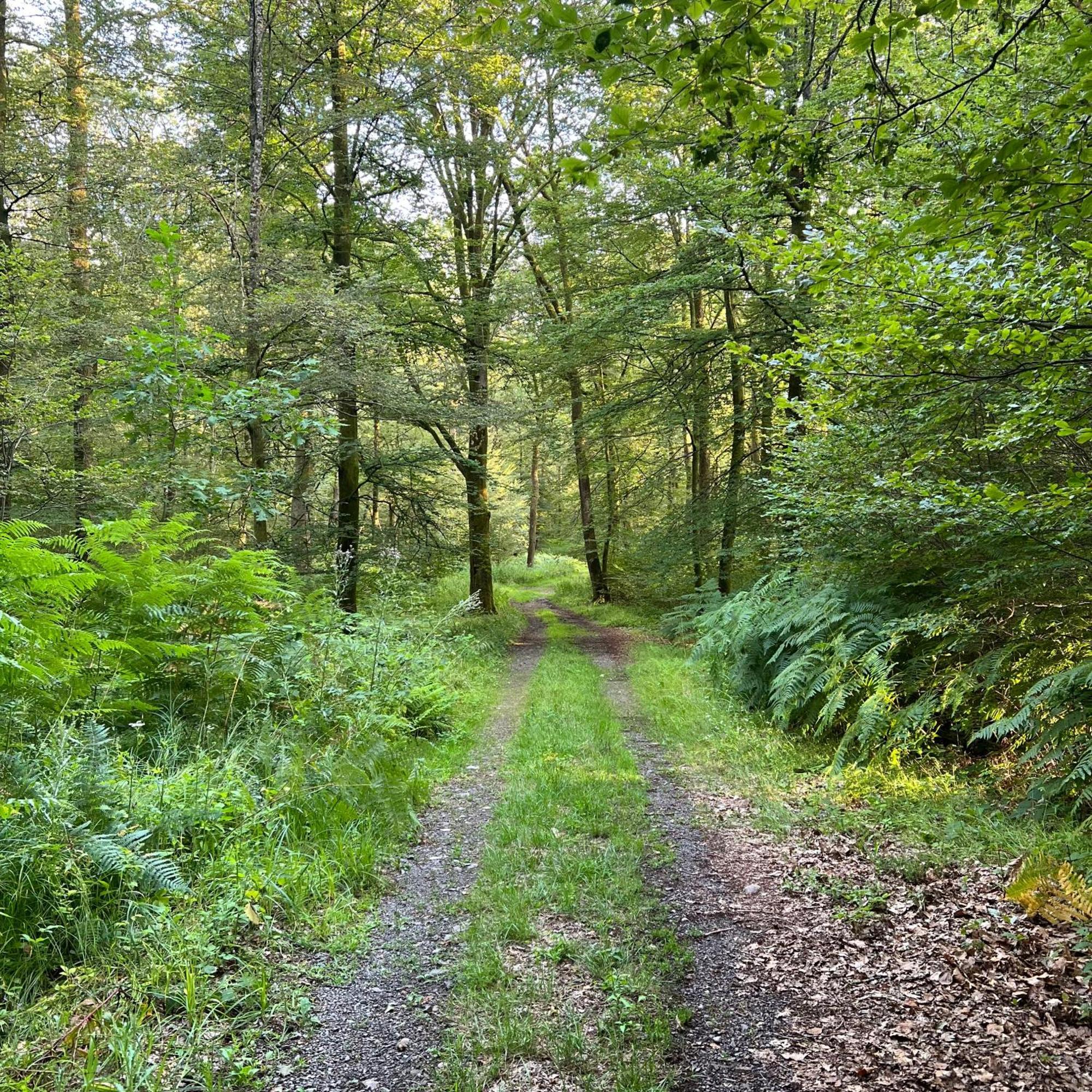 Privatunterkunft Aux Songes D'elise Belmont (Haute-Saone)