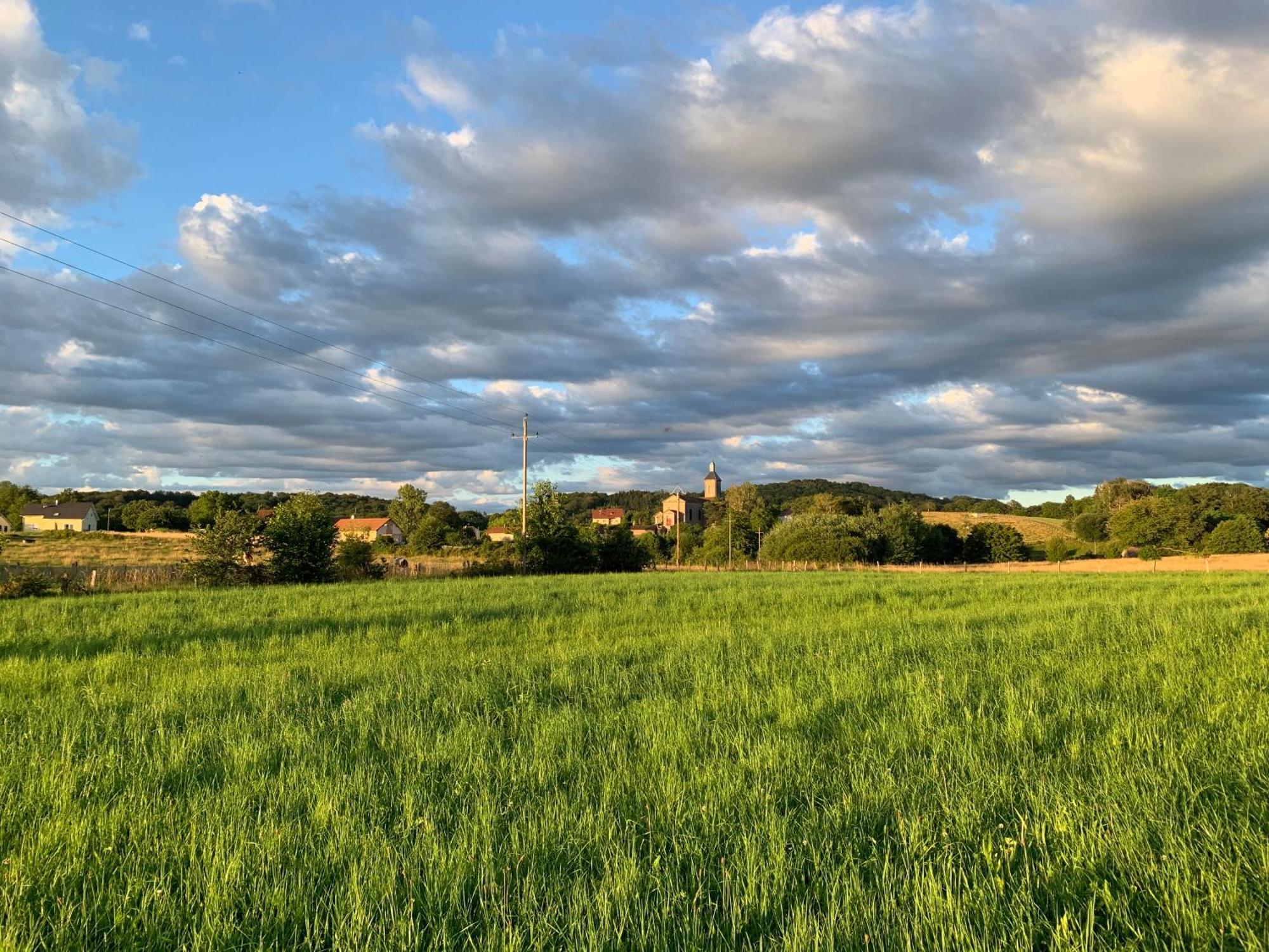 Aux Songes D'elise